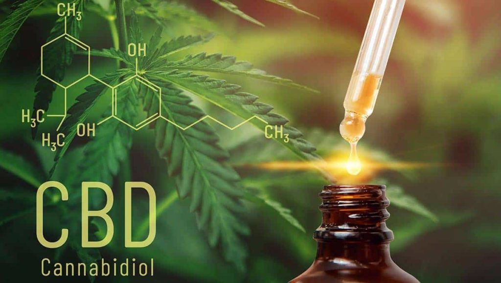 CBD oil extracts in bottle with cannabis leaves