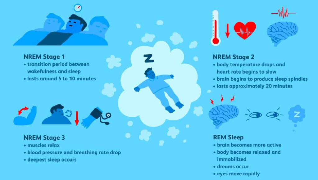 Four stages of sleep illustration