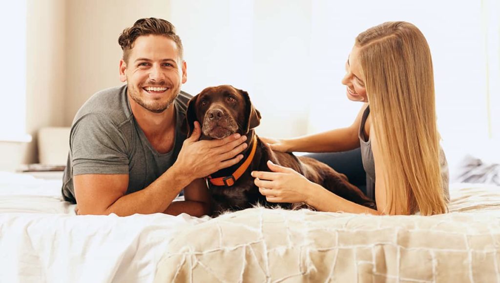 Happy couple playing their dog on bed